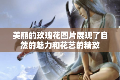 美丽的玫瑰花图片展现了自然的魅力和花艺的精致