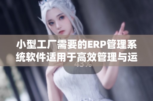 小型工厂需要的ERP管理系统软件适用于高效管理与运营