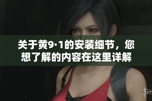 关于黄9·1的安装细节，您想了解的内容在这里详解