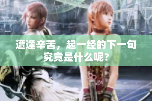 遭逢辛苦，起一经的下一句究竟是什么呢？