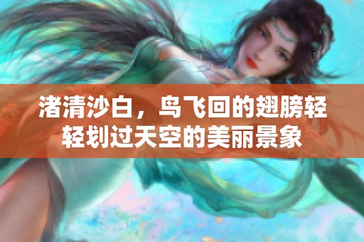 渚清沙白，鸟飞回的翅膀轻轻划过天空的美丽景象