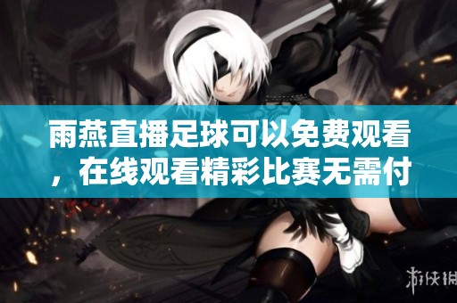雨燕直播足球可以免费观看，在线观看精彩比赛无需付费