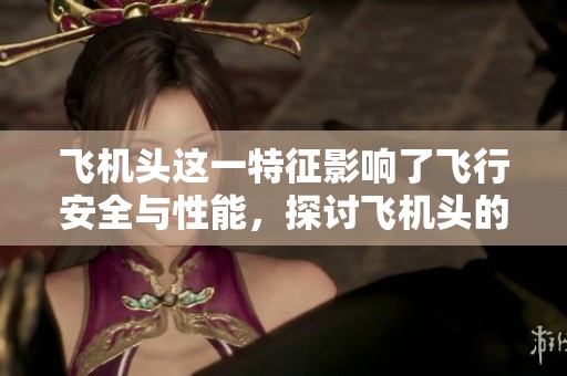 飞机头这一特征影响了飞行安全与性能，探讨飞机头的设计与功能。