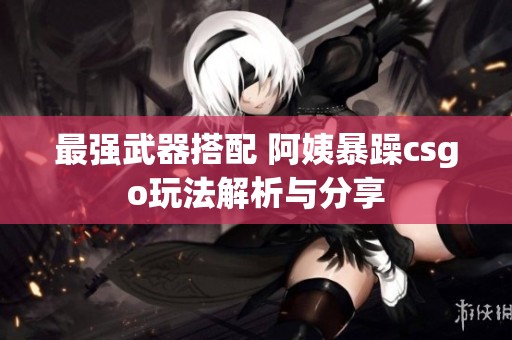 最强武器搭配 阿姨暴躁csgo玩法解析与分享