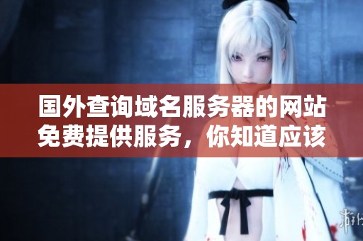 国外查询域名服务器的网站免费提供服务，你知道应该如何使用吗