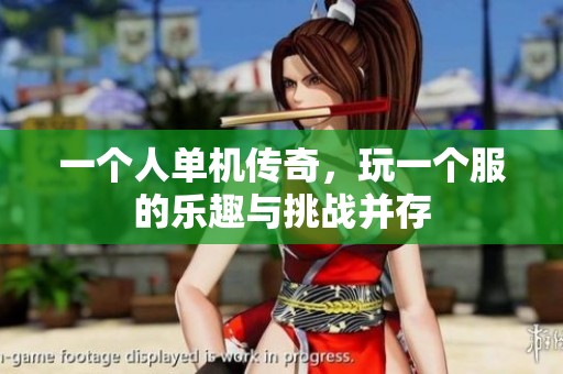 一个人单机传奇，玩一个服的乐趣与挑战并存