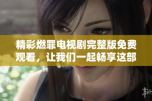 精彩燃罪电视剧完整版免费观看，让我们一起畅享这部热剧吧！