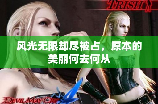 风光无限却尽被占，原本的美丽何去何从