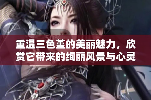 重温三色堇的美丽魅力，欣赏它带来的绚丽风景与心灵触动