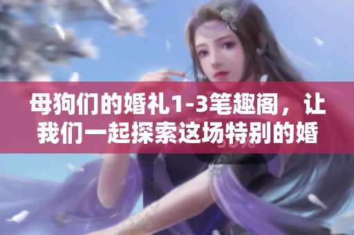 母狗们的婚礼1-3笔趣阁，让我们一起探索这场特别的婚礼故事