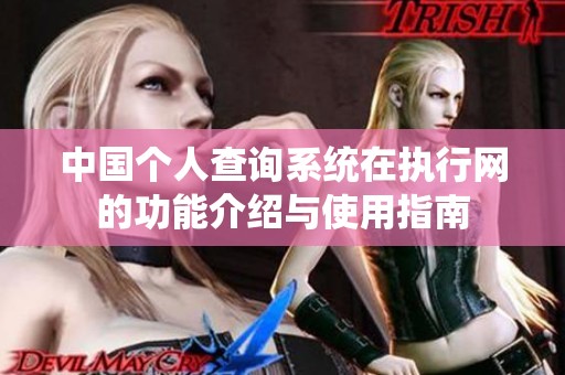 中国个人查询系统在执行网的功能介绍与使用指南
