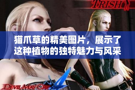 猫爪草的精美图片，展示了这种植物的独特魅力与风采