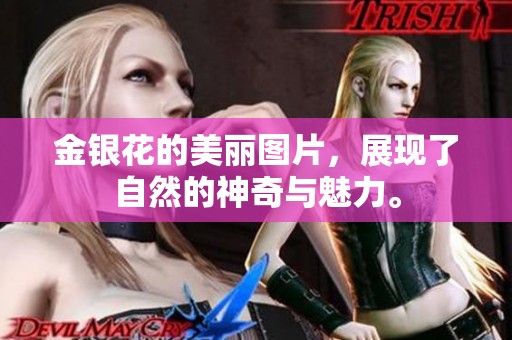 金银花的美丽图片，展现了自然的神奇与魅力。