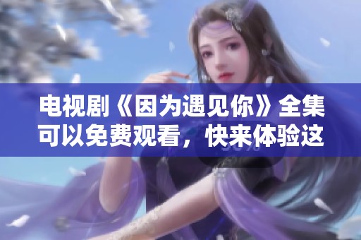 电视剧《因为遇见你》全集可以免费观看，快来体验这段动人故事吧