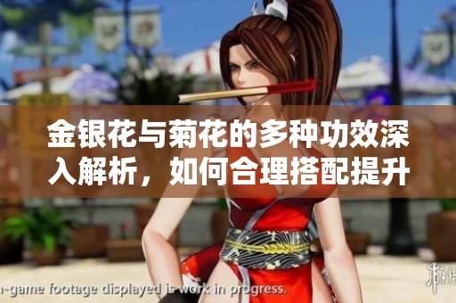 金银花与菊花的多种功效深入解析，如何合理搭配提升健康效果
