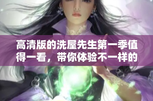 高清版的洗屋先生第一季值得一看，带你体验不一样的故事情节