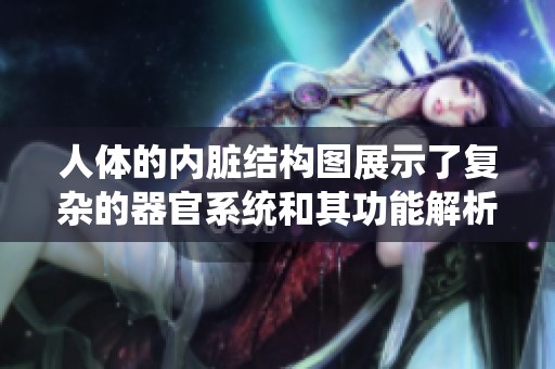 人体的内脏结构图展示了复杂的器官系统和其功能解析