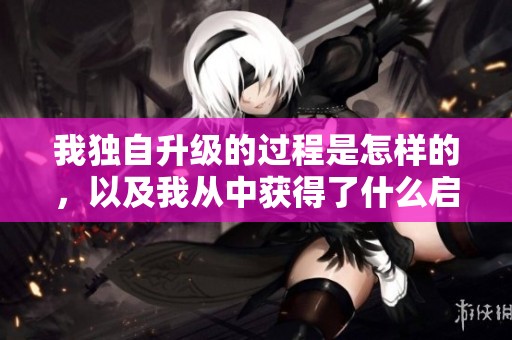 我独自升级的过程是怎样的，以及我从中获得了什么启示