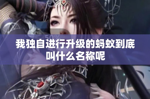 我独自进行升级的蚂蚁到底叫什么名称呢