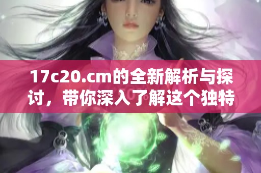 17c20.cm的全新解析与探讨，带你深入了解这个独特的领域