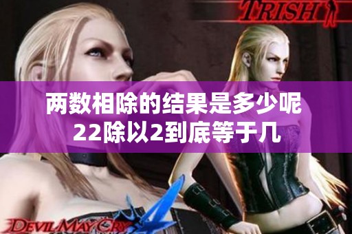 两数相除的结果是多少呢 22除以2到底等于几
